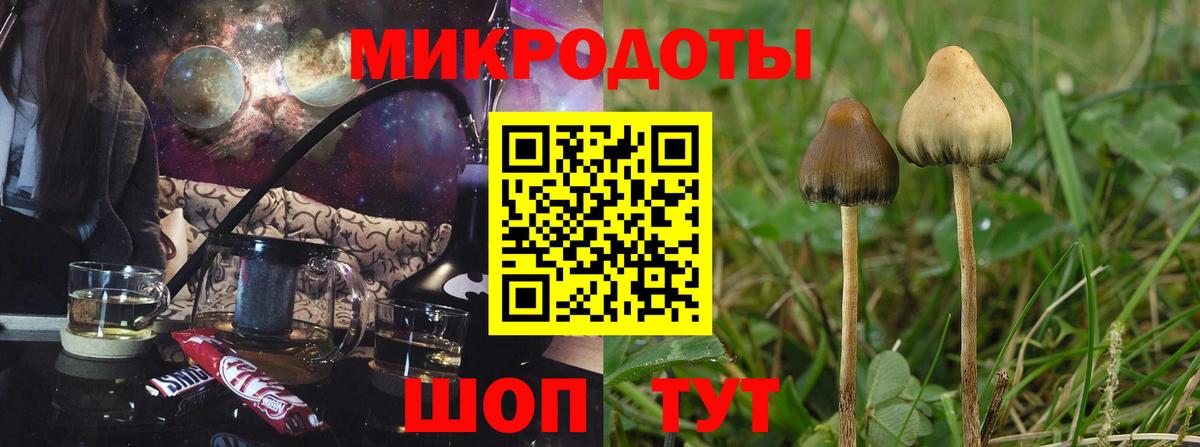 Галлюциногенные грибы Cubensis  Вход с VPN  Полысаево  Псилоцибиновые грибы Cubensis 